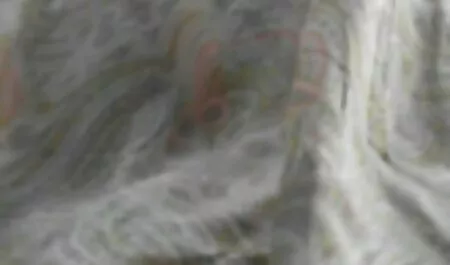 Profitez film x français en streaming de la série 310