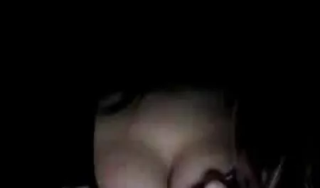 van bree regarder films pornographiques