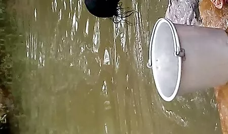 masturber ma pornos streaming femme mature