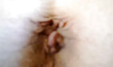 Trio pré-fête.p4 film x streaming francais