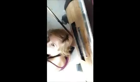 Peter North avec Misty & Ariel Daye porno streaming movie