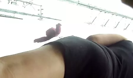 Ein Scheich chapeau auch anderes regarder un film porno en streaming oel