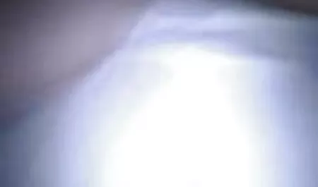 dejw regarder films x