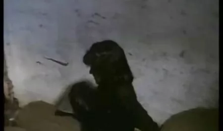 Sisi Sinz avec une bonne baise de visage en gorge profonde streaming film x francais